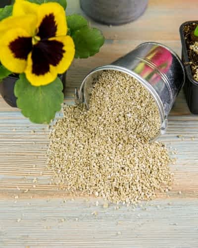 horticultural vermiculite in commercial seedling propagation trays