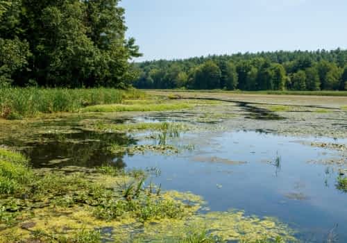Constructed Wetlands using Leca Constructed Wetlands using Leca