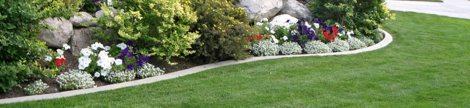 LECA for urban landscape projects