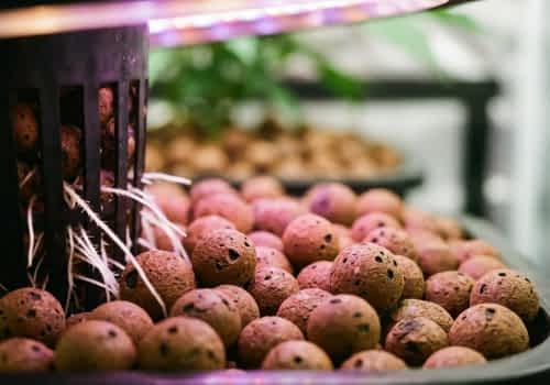 LECA specialty aggregate for potting mix and drainage layer formulations LECA specialty aggregate for potting mix and drainage layer formulations