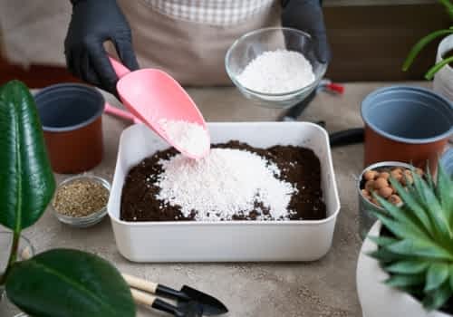 Perlite for commercial potting mixes Perlite for commercial potting mixes