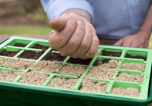 Vermiculite for seed starting blends
