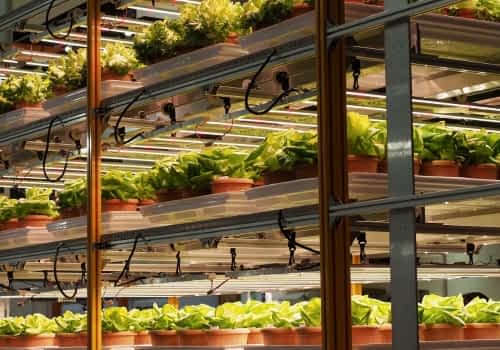 commercial vertical farm commercial vertical farm