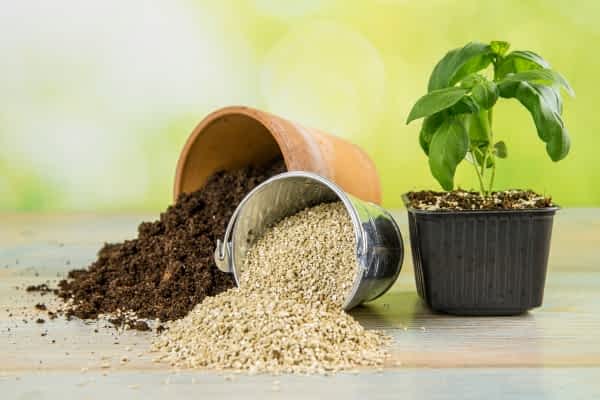 bulk exfoliated vermiculite for commercial horticulture and propagation
