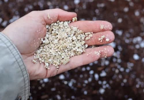 Horticultural vermiculite for propagation applications