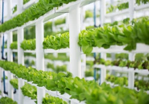 multi level growing trays Multi-level growing trays supported by lightweight LECA