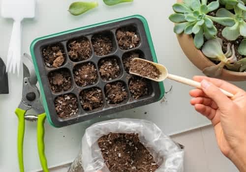 Commercial plant propagation facility using mineral substrates
